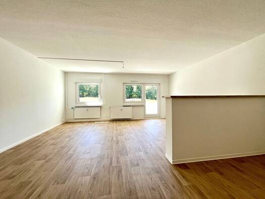 Wohnung zur Miete 360 € 3 Zimmer 69,3 m² EG Dr.-Salvador-Allende-Straße 254 Kappel Kappel 09119