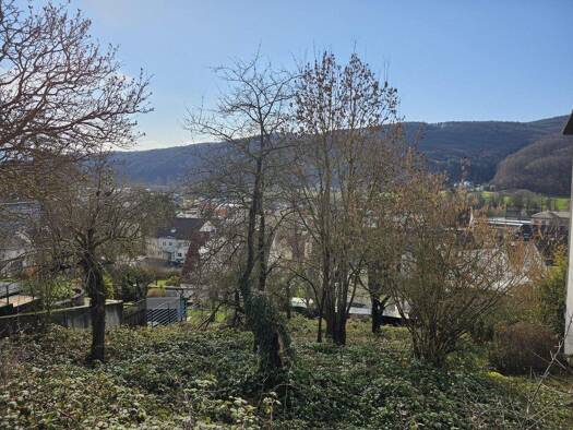 Grundstück zum Kauf provisionsfrei 77.490 € 738 m² Grundstück Gemünden Gemünden am Main 97737