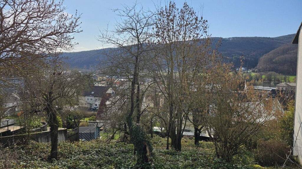 Grundstück zum Kauf provisionsfrei 77.490 € 738 m² Grundstück Gemünden Gemünden am Main 97737