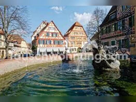 Wohnung zur Miete Tauschwohnung 795 € 1 Zimmer 51 m² Ladenburg 68526