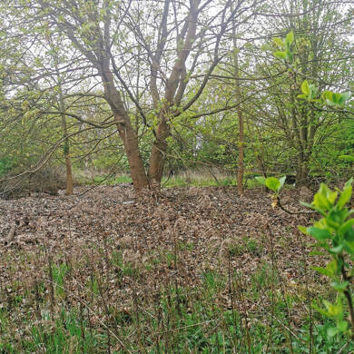 Grundstück zum Kauf 220.000 € 8.800 m² Grundstück Kremmen Kremmen 16766