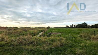 Gewerbegrundstück zum Kauf 175.000 € 75.000 m² Grundstück Norderschwei Stadland / Norderschwei 26936