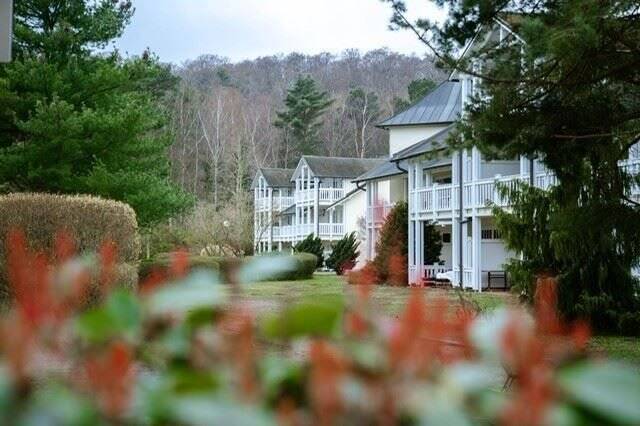 Property thumbnail 9