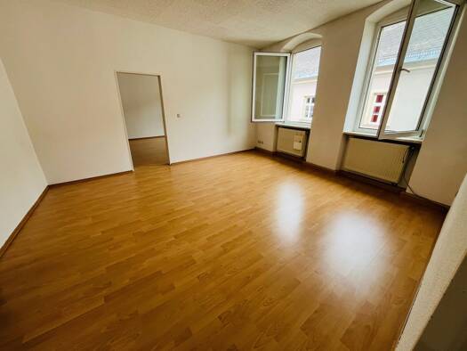 Wohnung zur Miete 515 € 2 Zimmer 80 m² Geschoss 1/2 frei ab sofort Innenstadt Hof 95028