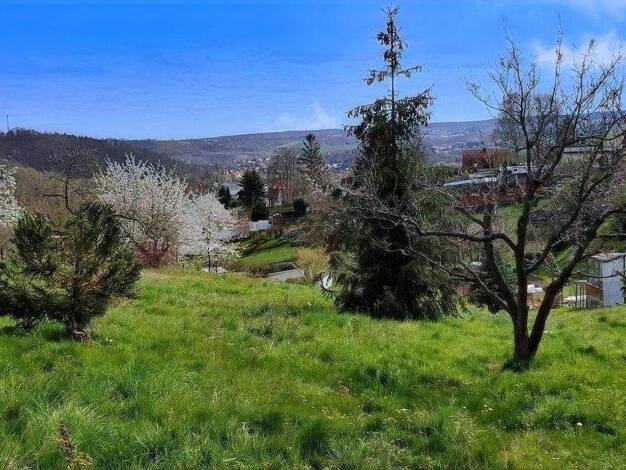 Grundstück zum Kauf 55.000 € 2.860 m² Grundstück frei ab sofort Kreisfeld Hergisdorf 06313