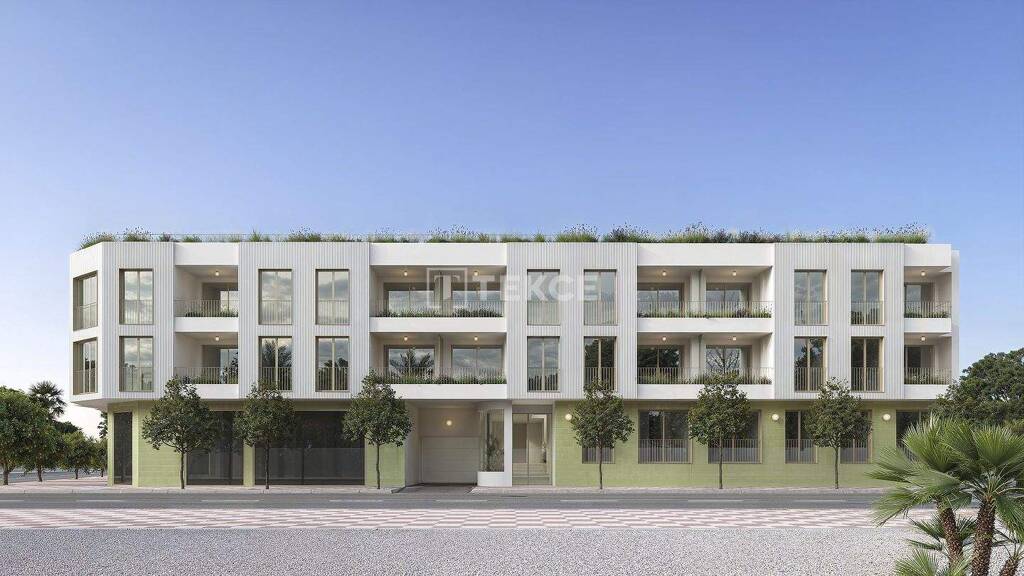 Studio zum Kauf 170.000 € 4 Zimmer 84 m² EG Alicante 03310