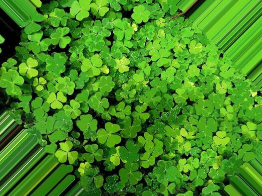 Einfamilienhaus zum Kauf 617.876 € 5 Zimmer 130 m² 500 m² Grundstück Ickern Castrop Rauxel 44577