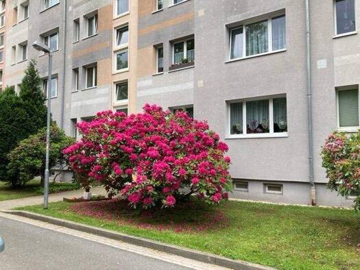 Wohnung zur Miete 270 € 2 Zimmer 46,4 m² 3. Geschoss Hermann-Danz-Straße 9 Hermsdorf 07629