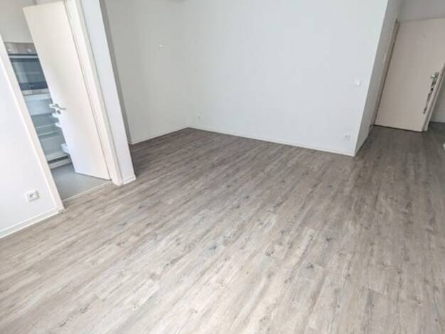 Studio zur Miete 538 € 1 Zimmer 32,8 m² frei ab 13.05.2026 Schützenstr. 64/66 Stadtmitte Düsseldorf 40211