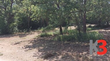 Land-/Forstwirtschaft zum Kauf 46.000 € 1.422 m² Grundstück Porec 52440