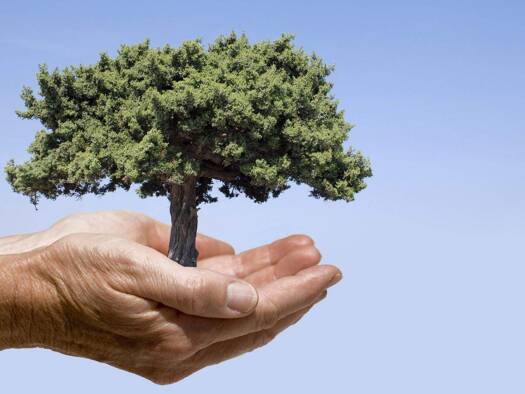 Grundstück zum Kauf 1.611 m² Grundstück Hötting 6020