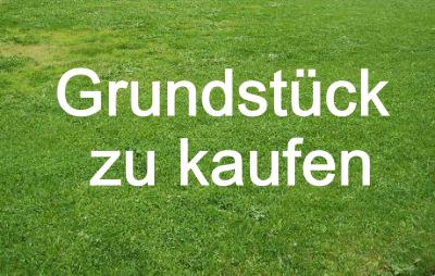 Grundstück zum Kauf provisionsfrei 158.000 € 795 m²<br/>Grundstück Werste Bad Oeynhausen 32549