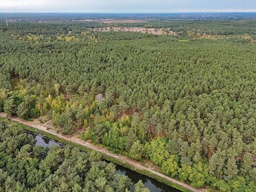 Land-/Forstwirtschaft zum Kauf 115.000 € 125.528 m² Grundstück Wernsdorf Königs Wusterhausen 15713