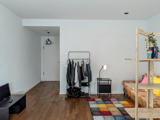 Wohnung zur Miete 900 € 1 Zimmer 36 m² EG frei ab sofort Mengerzeile 11 Alt-Treptow Berlin 12435