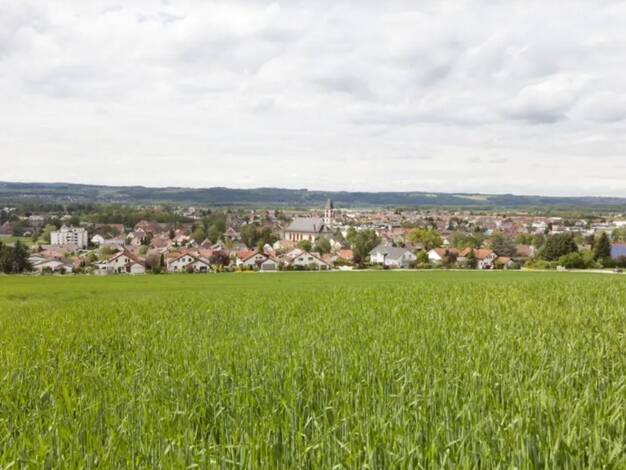 Mehrfamilienhaus zum Kauf 790.500 € 15 Zimmer 390 m² 1.354 m² Grundstück Baienfurt Baienfurt 88255