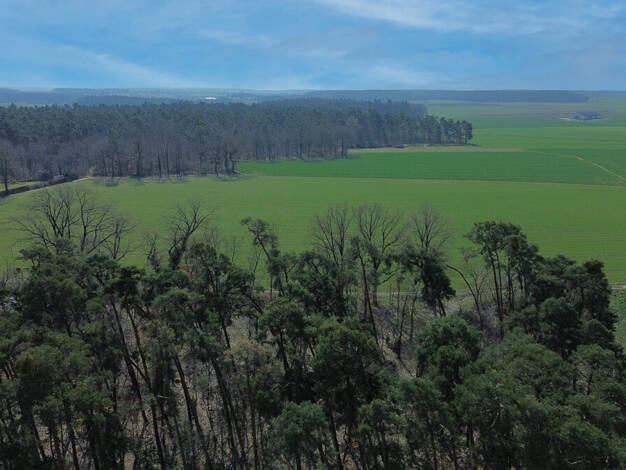 Bungalow zum Kauf 698.000 € 7 Zimmer 154 m² 433 m² Grundstück Oberweihersbuch Stein bei Nürnberg 90547