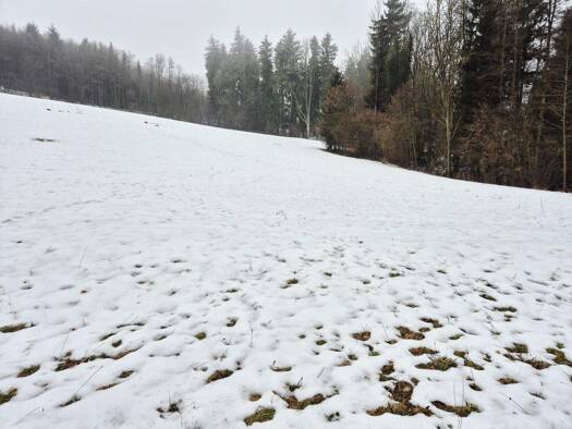 Land-/Forstwirtschaft zum Kauf 33.500 € 9.567 m² Grundstück Kettenreith 3233