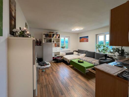 Wohnung zur Miete 470 € 1 Zimmer 24,7 m² 1. Geschoss frei ab 01.12.2026 Vöcklabruck 4840