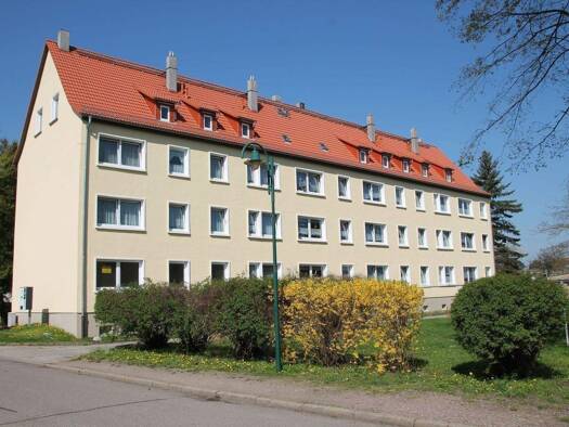 Wohnung zur Miete 300 € 3 Zimmer 60 m² Geschoss 3/3 frei ab sofort Ernst-Thälmann-Straße 5 Ostrau Ostrau 04749
