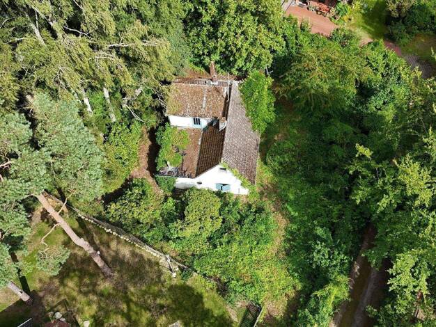 Grundstück zum Kauf 195.000 € 725 m² Grundstück Holm-Seppensen Buchholz in der Nordheide 21244