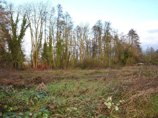 Grundstück zum Kauf 216.030 € 758 m² Grundstück Breyell Nettetal 41334
