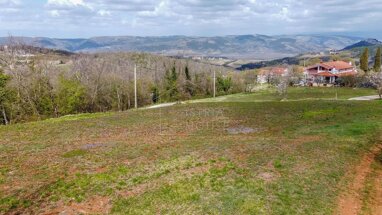 Land-/Forstwirtschaft zum Kauf 150.000 € Motovun center 52424