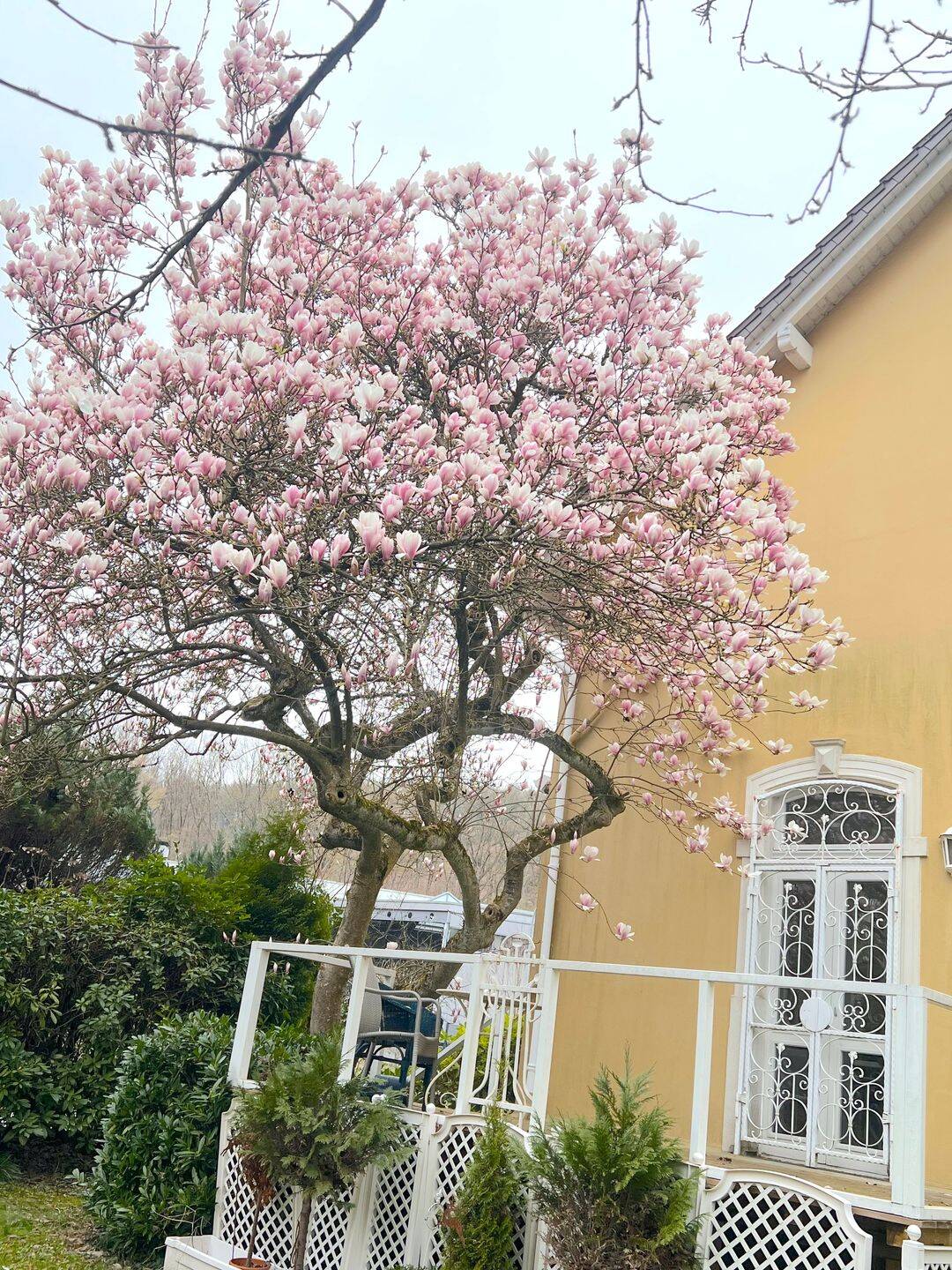 Einfamilienhaus zum Kauf - Ansicht 6