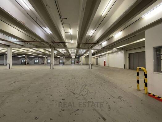 Lagerhalle zur Miete 5.500 m² Lagerfläche Bad Oldesloe 23843