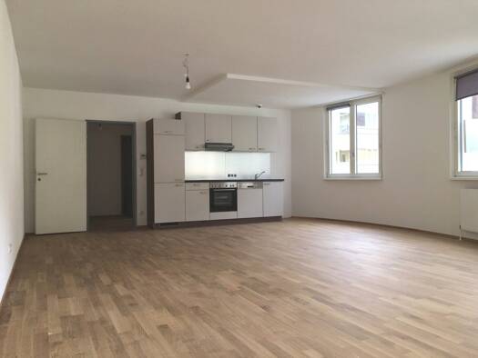 Wohnung zur Miete 1.000 € 2 Zimmer 78,5 m² 1. Geschoss Untersteinstraße 8 Bludenz 6700