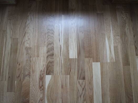 Studio zur Miete 395 € 1 Zimmer 20 m² Meißen 01662