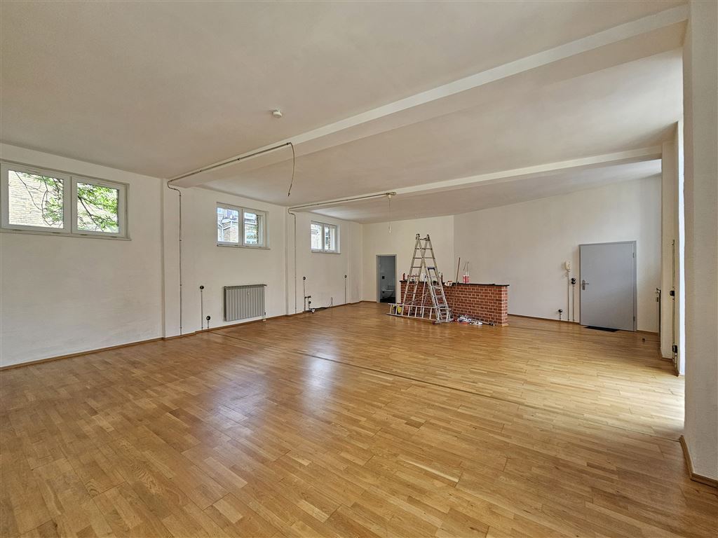 Wohnung zur Miete 800 € 1 Zimmer 103 m²<br/>Wohnfläche 2.<br/>Geschoss ab sofort<br/>Verfügbarkeit Dittenberger Straße 4 Paulusviertel Halle (Saale) 06112