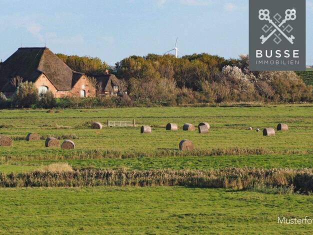 Land-/Forstwirtschaft zum Kauf 829.000 € 181.100 m² Grundstück Schlichting 25776