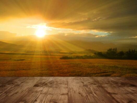 Doppelhaushälfte zum Kauf provisionsfrei 628.008 € 6 Zimmer 125 m² 300 m² Grundstück Brensbach 64395