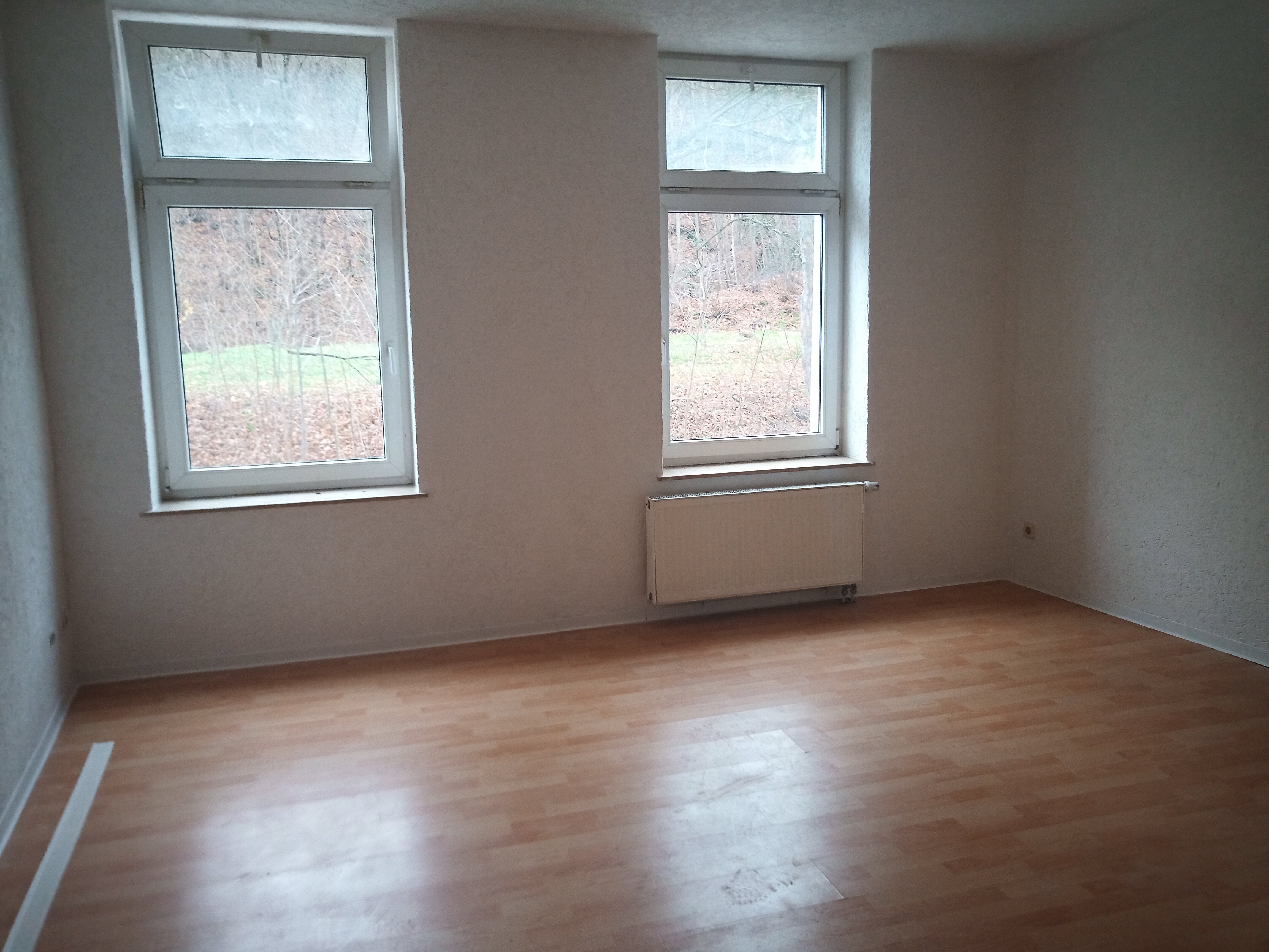 Wohnung zur Miete 250 € 2 Zimmer 50 m²<br/>Wohnfläche 1.<br/>Geschoss ab sofort<br/>Verfügbarkeit Greiz Greiz 07973