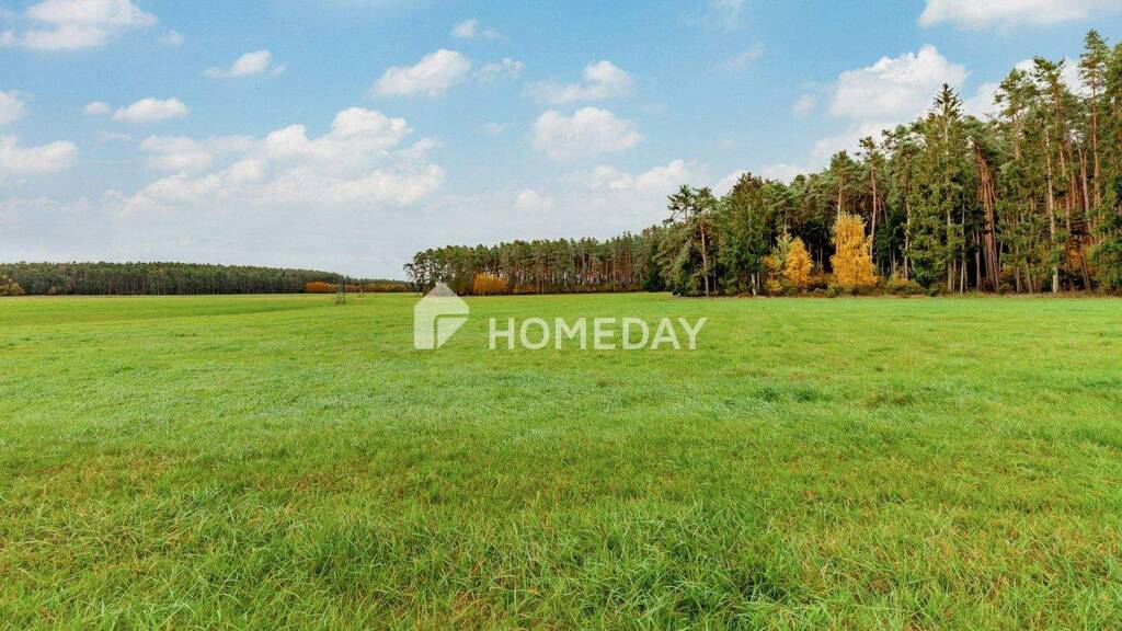 Bauernhaus zum Kauf 844.000 € 4 Zimmer 300 m² 87.978 m² Grundstück Ebersbach Abenberg 91183