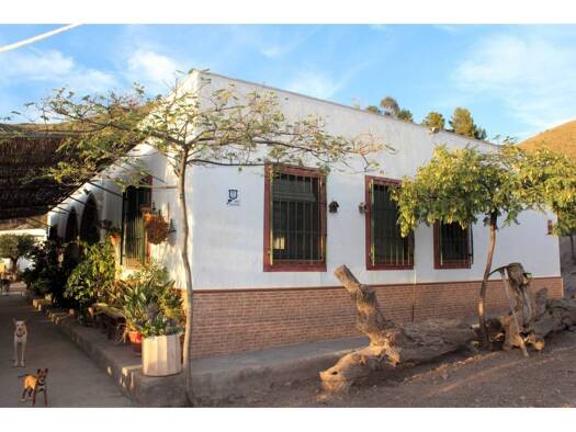 Bauernhaus zum Kauf 360.000 € 3 Zimmer 267 m² 15.565 m² Grundstück Enix 04729