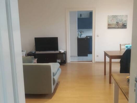Wohnung zur Miete 380 € 2 Zimmer 45 m² Geschoss 1/2 Trierer Straße 24 Westvorstadt Weimar 99423