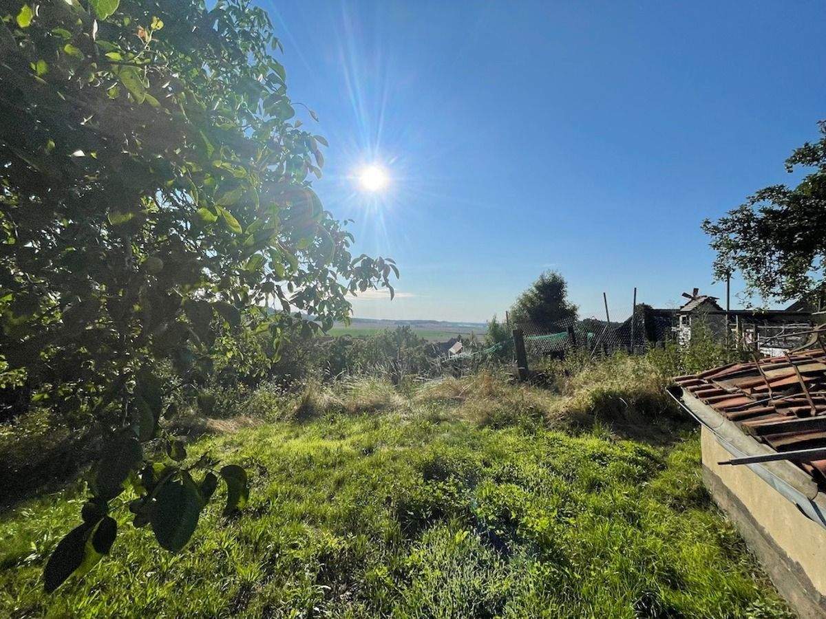 Immobilie in Blankenburg - Wohnen in naturnaher Lage mit Fernblick - Bild 3