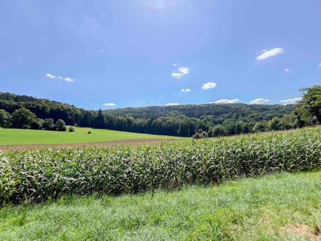 Einfamilienhaus zum Kauf 149.999 € 3 Zimmer 69,7 m² 888 m² Grundstück Oberwall Berg bei Neumarkt in der Oberpfalz 92348