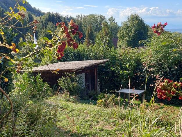 Wohnung zum Kauf 3,5 Zimmer 75 m² 1. Geschoss Steigen Heiligenberg 86633