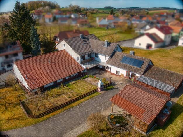 Einfamilienhaus zum Kauf 319.000 € 8 Zimmer 218 m² 3.013 m² Grundstück Unterreichenbach Birstein 63633