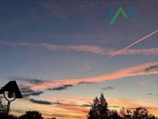 Mehrfamilienhaus zum Kauf 650.000 € 10 Zimmer 260 m² 825 m² Grundstück Hörvelsingen Langenau 89129