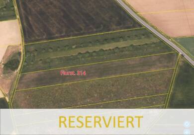 Land-/Forstwirtschaft zum Kauf 37.766 € 8.210 m² Järkendorf Järkendorf Prichsenstadt 97357