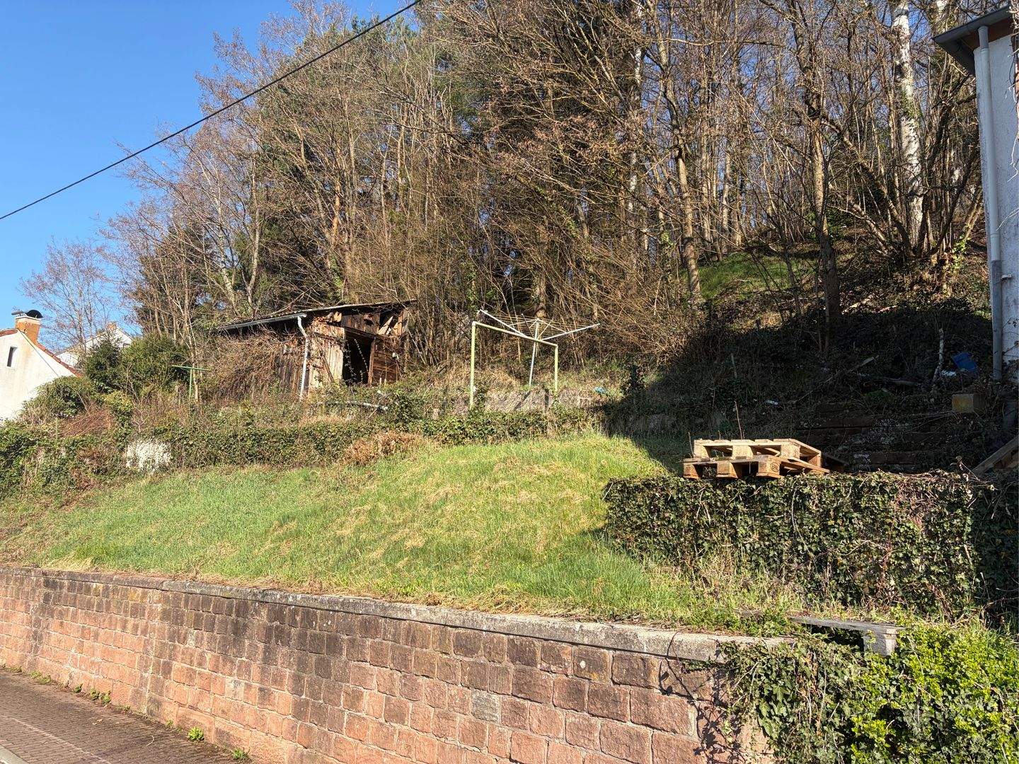 Immobilie in Lemberg - Freistehendes Einfamilienhaus in ruhiger Waldrandlage in Lemberg - Bild 1