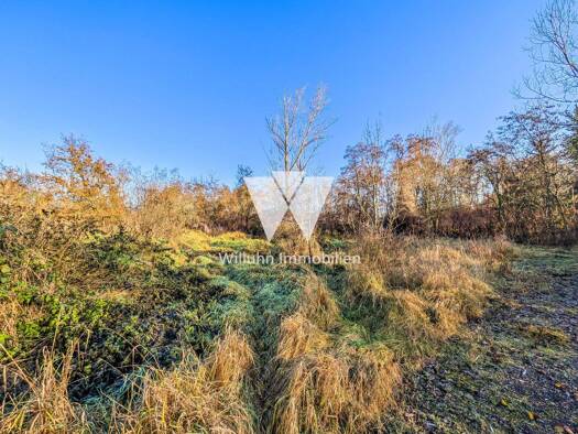 Land-/Forstwirtschaft zum Kauf 95.000 € 61.204 m² Grundstück Borna 04552