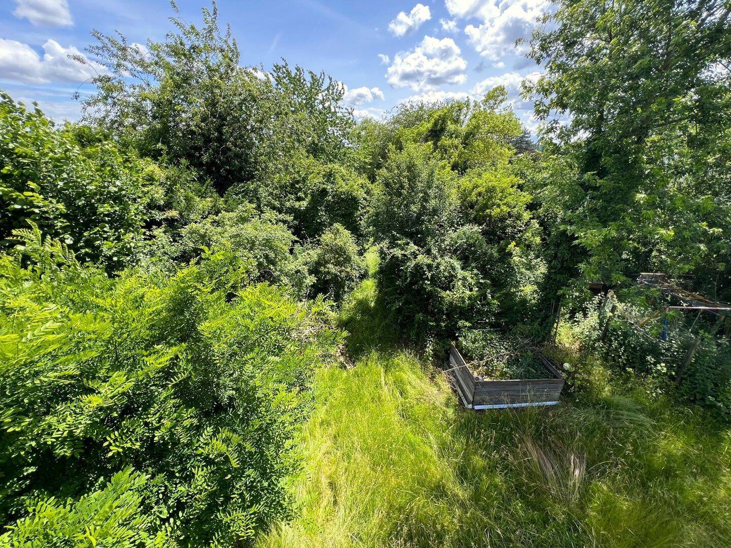 Einfamilienhaus zum Kauf - Ansicht 4