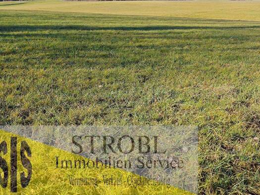 Landwirtschaftliche Fläche zur Miete 50.000 m² Grundstück Gaden Eitting 85462