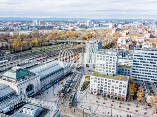Bürofläche zur Miete provisionsfrei 16 € 1.507 m² Bürofläche teilbar ab 95 m² Schwetzingerstadt Mannheim 68161