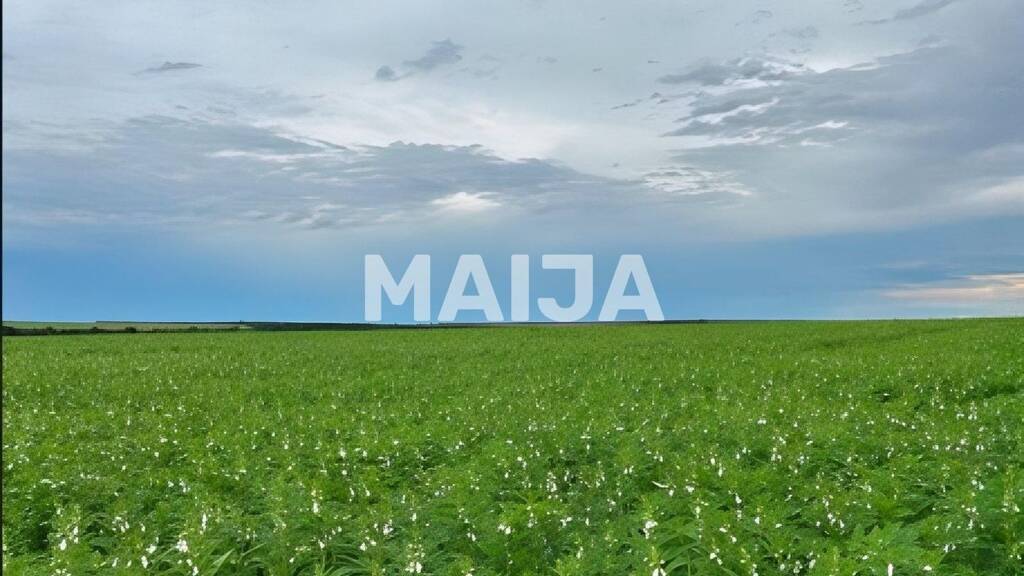 Land-/Forstwirtschaft zum Kauf 39.000.000 € 37.050.000 m² Grundstück Confresa 78652-000