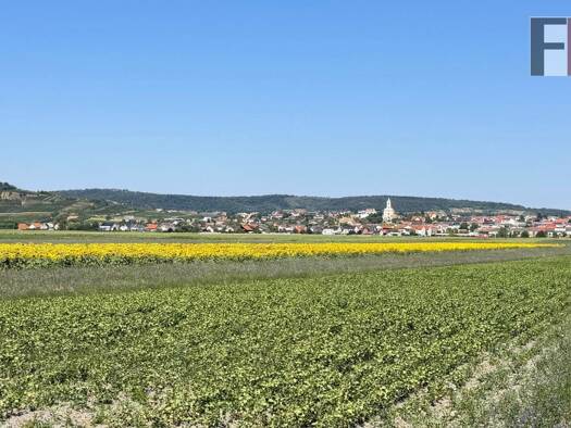 Land-/Forstwirtschaft zum Kauf 445.000 € 49.526 m² Grundstück Jois 7093